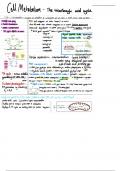 Lecture notes on Cell Metabolism