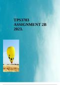 TPS3703 ASSIGNMENT 2B 2023.