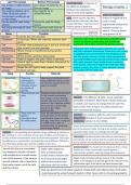 GCSE AQA Biology chapter 1 condensed notes 