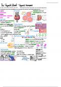 Thyroid Gland Lecture Notes
