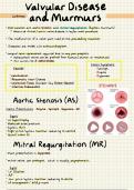 Clinical Cardiovascular - Summary Notes Bundle
