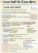 Clinical Haematology - Summary Notes Bundle
