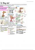 The Pituitary Gland Lecture Notes