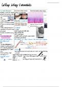 Cartilage Biology & Osteoarthritis Lecture Notes
