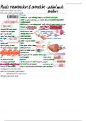 Muscle Microstructure & Contraction Lecture Notes
