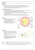 A Level Biology - Reproduction & The Cell Cycle Notes