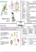 AQA Biology- Cell Biology