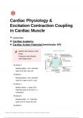 cardiac physiology & excitation contraction coupling in cardiac muscle