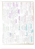 Meta ethical theories mind map