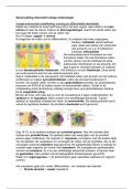 Overzicht embryologie gezonde en zieke cellen I 