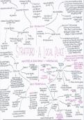 AQA Geography A-Level Changing places case study mind maps