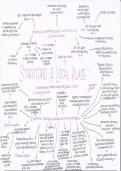AQA Geography A-Level Changing places case study mind maps