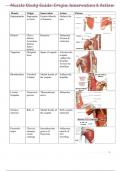Muscle Chart Study Guide 
