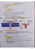 MBBS KCL GYNAECOLOGY REVISION NOTES including flashcards and PRACTICE QUESTIONS