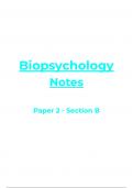 Biopsychology Notes (AQA A-Level Psychology)