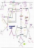 Easy to understand summary notes on organic synthesis, with skeletal formulas