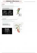 3. gallbladder and biliary system