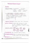 Endocrine System Class Lecture Notes For Exam