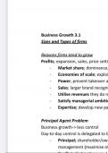 Theme 3 Business Behaviour and Labour market a-level
