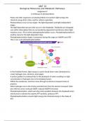 Essay Unit 10 - Biological Molecules and Metabolic Pathways  C