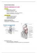 Anatomie & Fysiologie 1 - Orthopedie