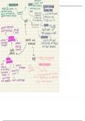 mind maps on couples in families