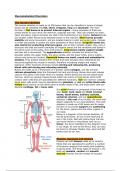 Applied Science Year 1 - Unit 8 Musculoskeletal Disorders