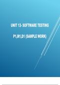 Unit 13 Software Testing - P1, M1, D1 Example Coursework