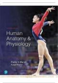 Test bank for human anatomy sixth edition by marieb