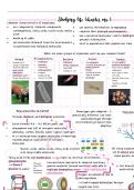 Biology 101 Notes