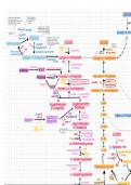 Carbohydrate metabolism complete reactions map 