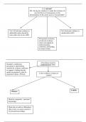 Flow chart for evidence course