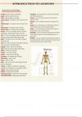 Lecture notes for  Human Anatomy | Musculoskeletal system