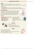 Lecture notes for Human Anatomy | Digestive system 