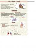 Lecture notes for Human Anatomy | Circulatory and Lymphatic System