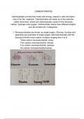 Leaflet and report about biological molecules