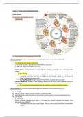 Lecture notes on cardiac output and blood pressure- clinical Medicine 