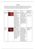 BTEC Applied Science: Unit 20 Learning aim A 