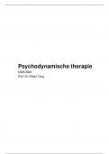 Psychodynamische therapie (geslaagd eerste zit!)