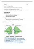 Class notes  Neuronal Communication 5.3.5