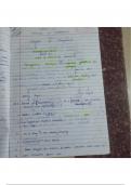 principles of management notes