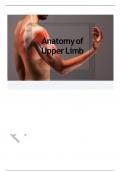 Complete anatomy of upper limb