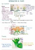 IB HL Biology Reproduction in Plants Summary 