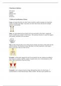 Unit 1: Assignment 1: The Skeletal System (P1, P2)