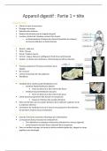 Résumé - anatomie cavité buccale