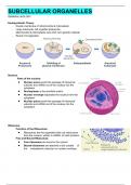 SubCellular Organelles