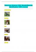 Veterinary Science CDE: Breeds/Species Identification 100% Correct