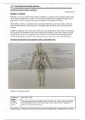 Unit 8, Learning aim B - Understand the impact of Hodgkin Lymphoma on the physiology of the lymphatic system and the associated corrective treatments