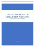 BTEC IT Unit 3 Using Social Media In Business - Assignment 1 (Distinction)