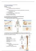 Samenvatting -  Anatomie & fysiologie